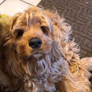 Meet your Posher, Cathryn